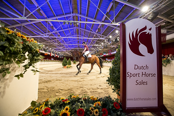Dutch Sport Horse Sales 2015© DigiShots