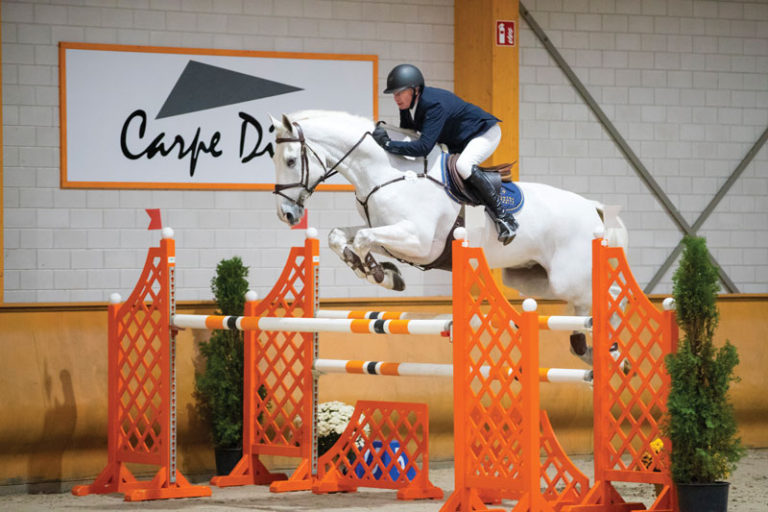 Fix Blue in action in Kronenberg Dutch Sport Horse Sales