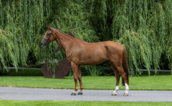 kymi-grand-prix-2